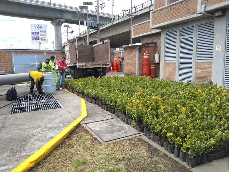 Imagen 29