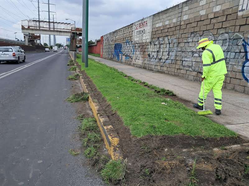 Imagen 5