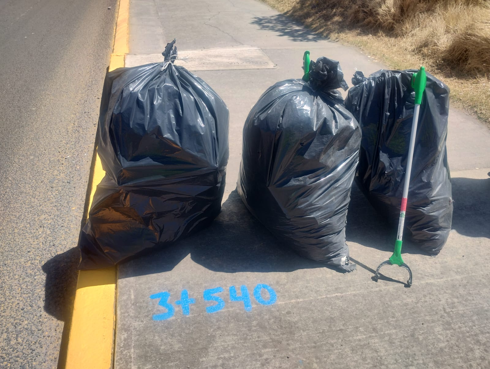 Imagen 12