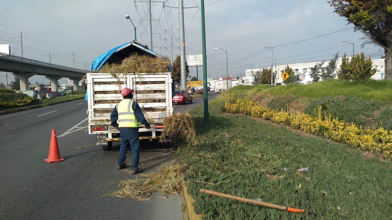 Imagen 20