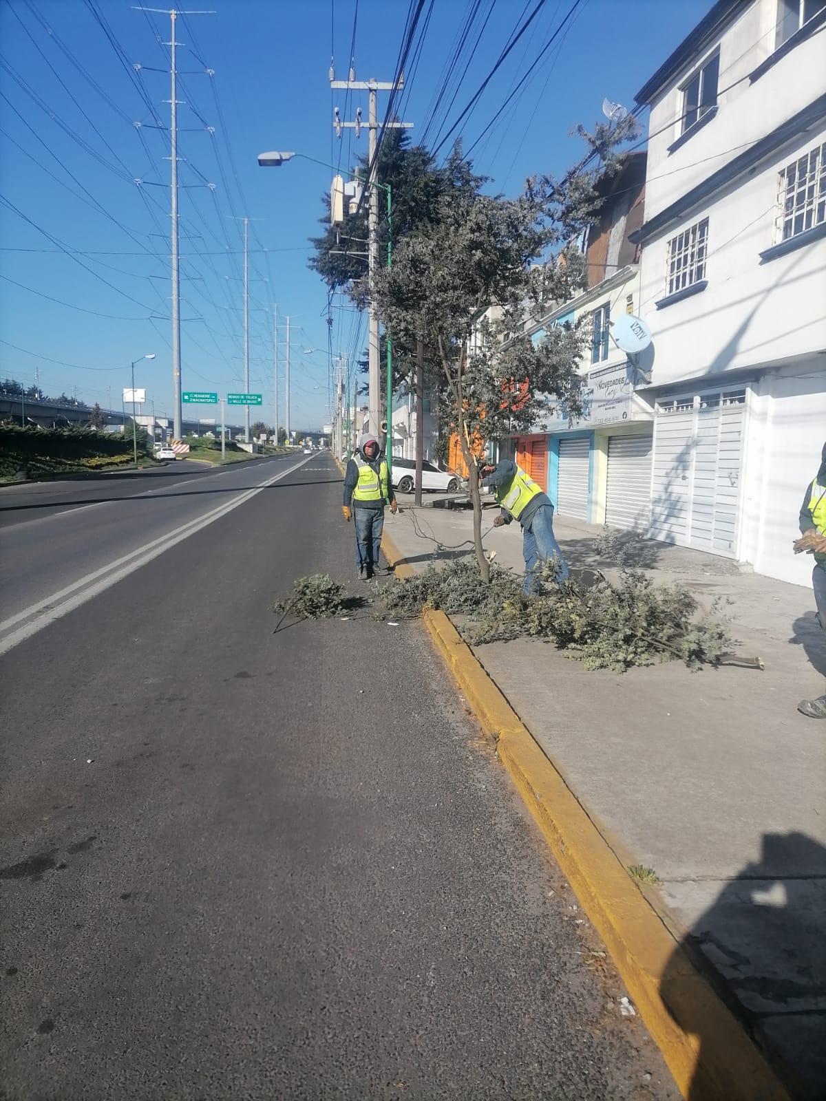 Imagen 1