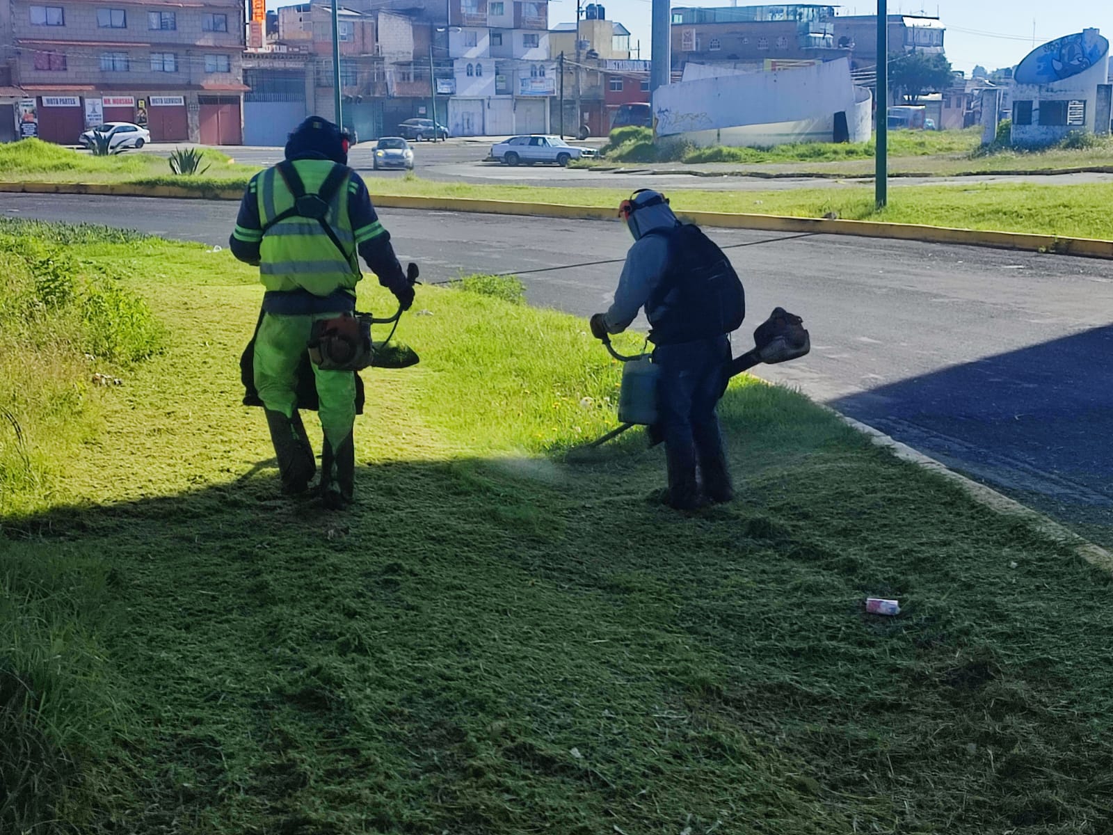 Imagen 5