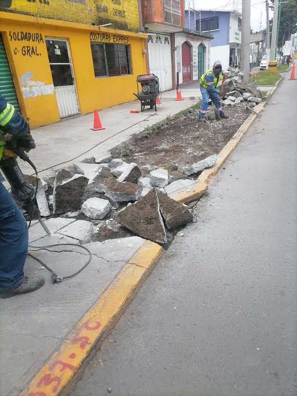 Imagen 24