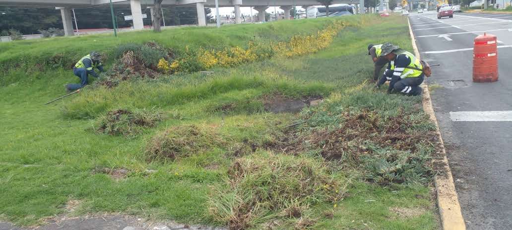 Imagen 5