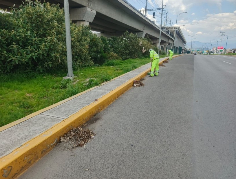 Imagen 6