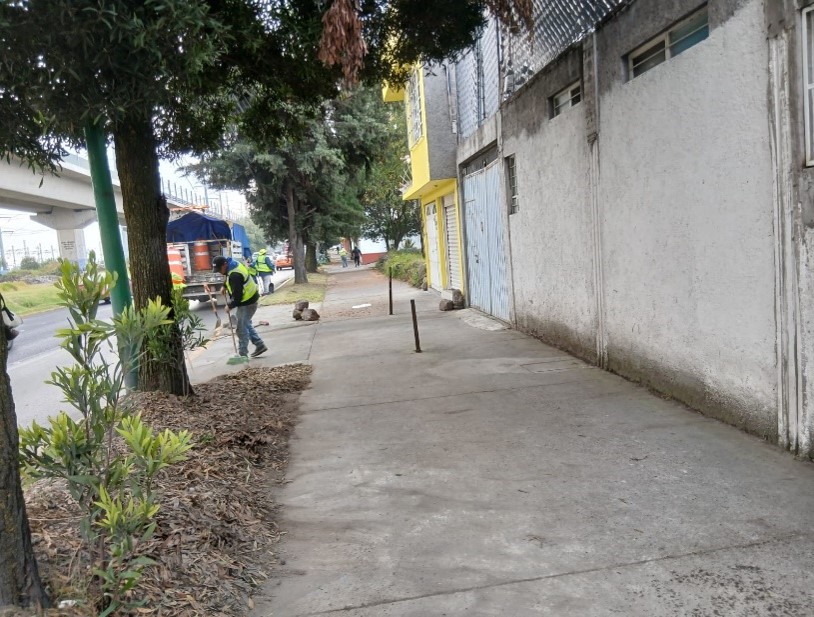 Imagen 45