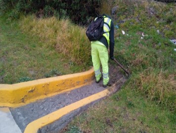 Imagen 6
