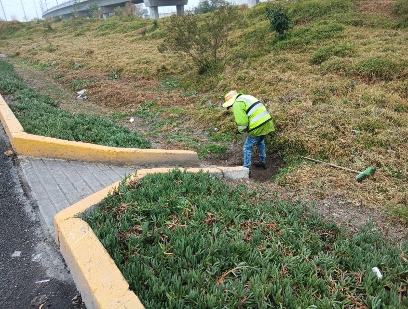 Imagen 8