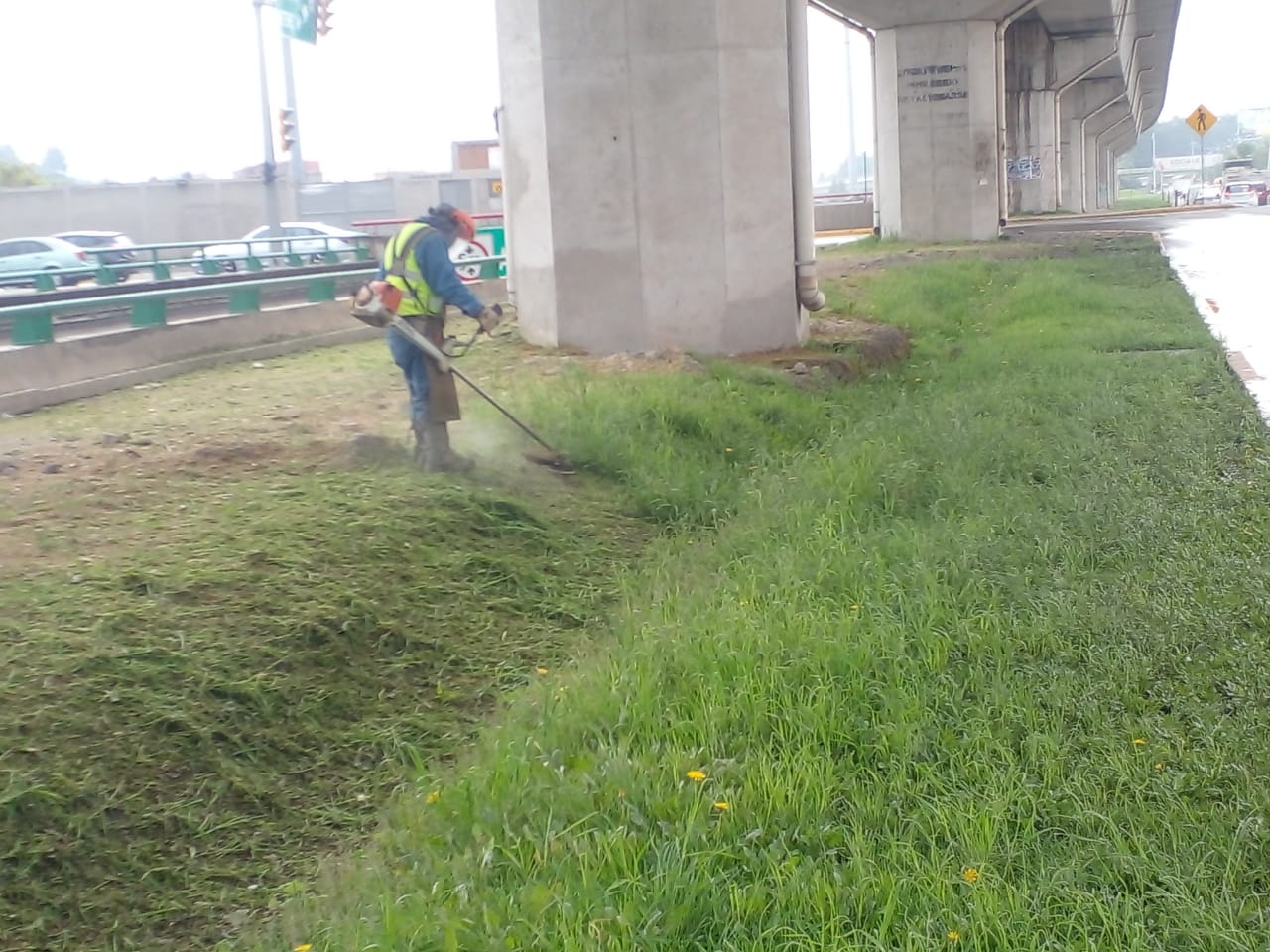 Imagen 3