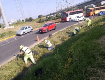 Imagen 37
