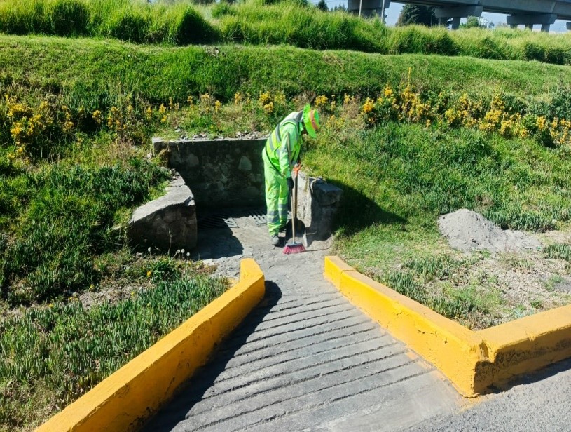 Imagen 7