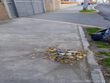 Imagen 14