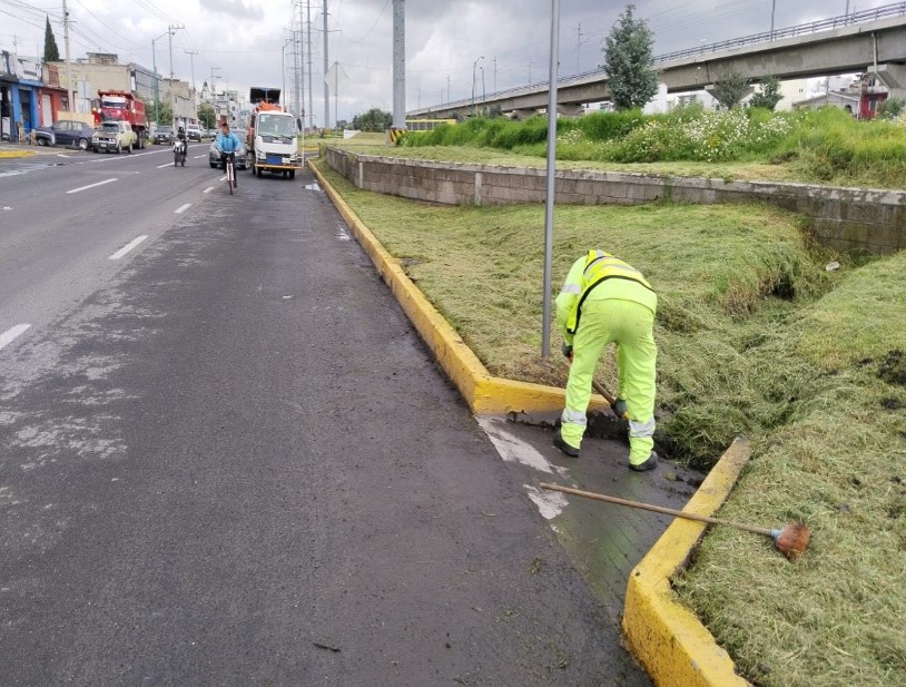 Imagen 6