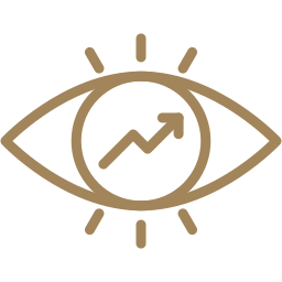 Visión
